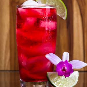 Hibiscus Margarita