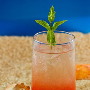 St. Thomas Mule